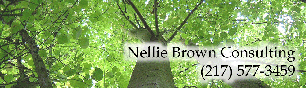 Nellie Brown Consulting